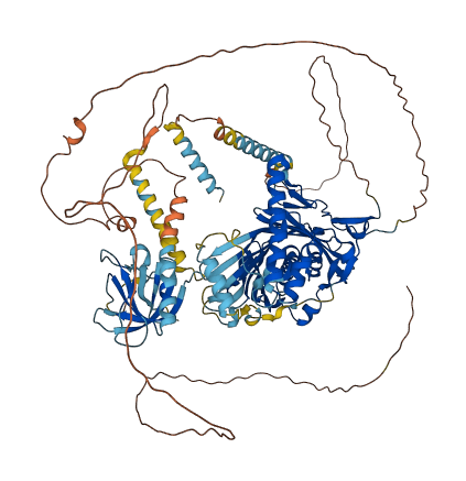 OSBPL8 3D structure