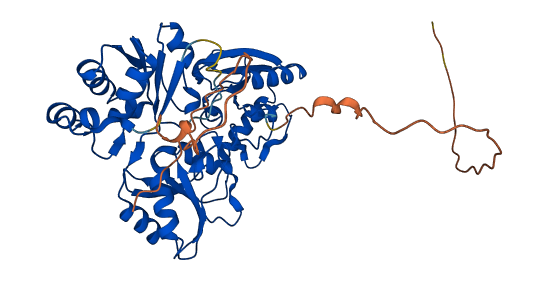 DPH1 3D structure