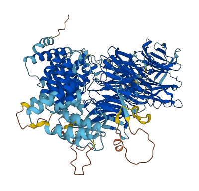 WDR11 3D structure