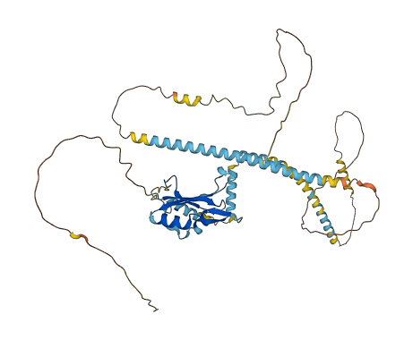 UPF3B 3D structure