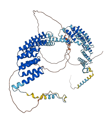 CRNKL1 3D structure