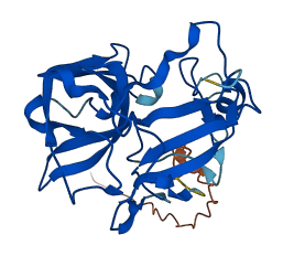 TPSD1 3D structure