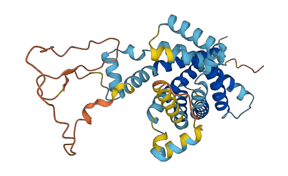 SLC25A39 3D structure