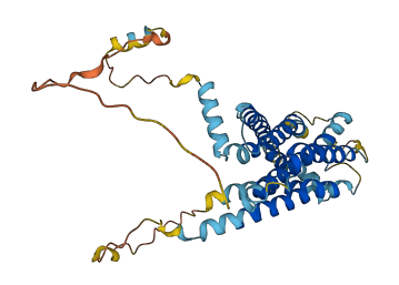 GPR62 3D structure