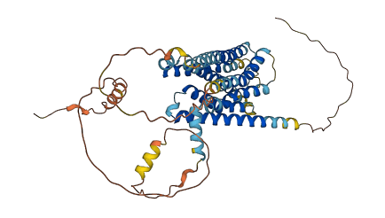 GPR61 3D structure