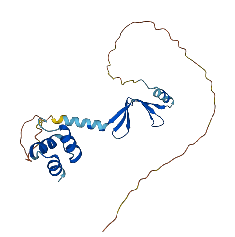 NACA4P 3D structure
