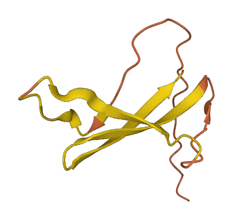 OCR1 3D structure