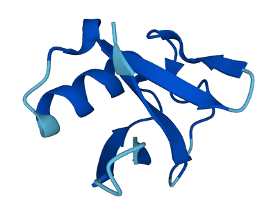 UBL5 3D structure