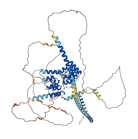 PPP1R12C 3D structure