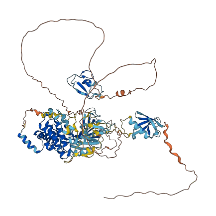 PRKD2 3D structure
