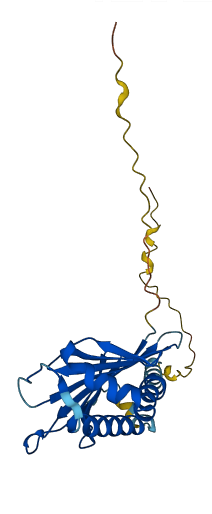 ULBP3 3D structure