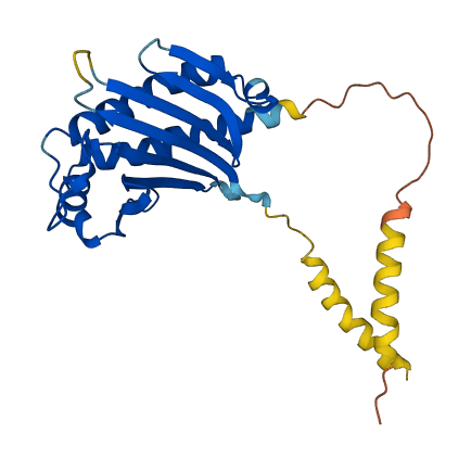 ULBP2 3D structure