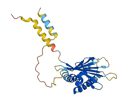 ULBP1 3D structure