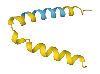 PNAS-138 3D structure