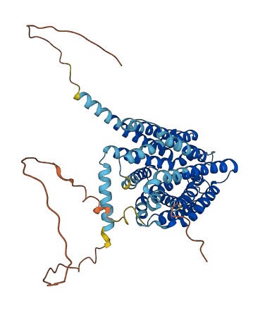 SLC19A3 3D structure