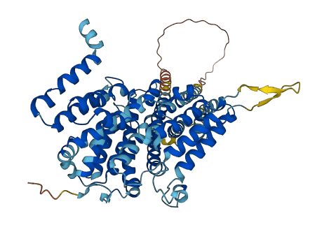 SLC13A1 3D structure