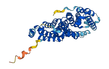 TM6SF2 3D structure