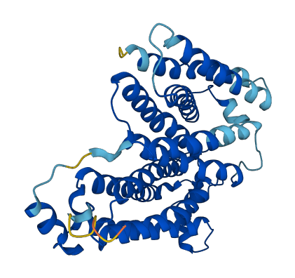 TM6SF1 3D structure