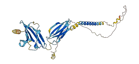 CD244 3D structure