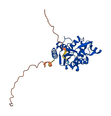 UCK2 3D structure