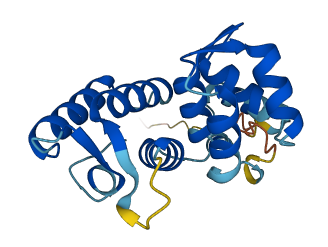 ROPN1B 3D structure