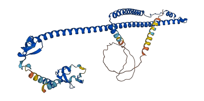 TRIM31 3D structure