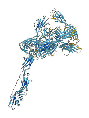 SIGLEC1 3D structure