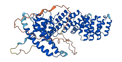 API5 3D structure