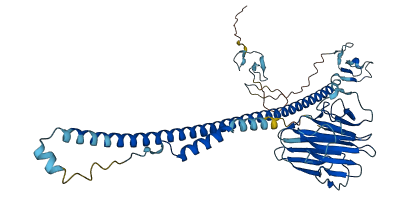 TRIM15 3D structure