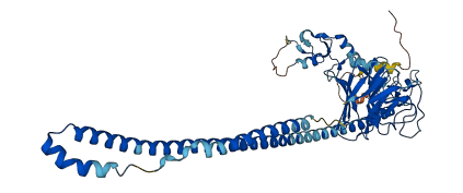TRIM7 3D structure