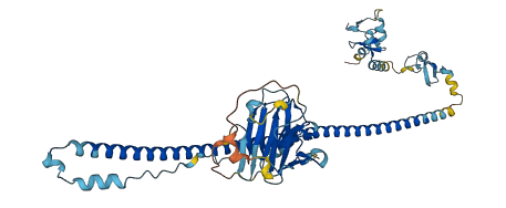 TRIM4 3D structure