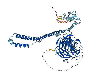 TRIM2 3D structure