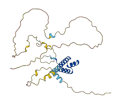 NKX6-2 3D structure