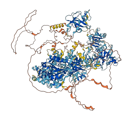 GREB1L 3D structure