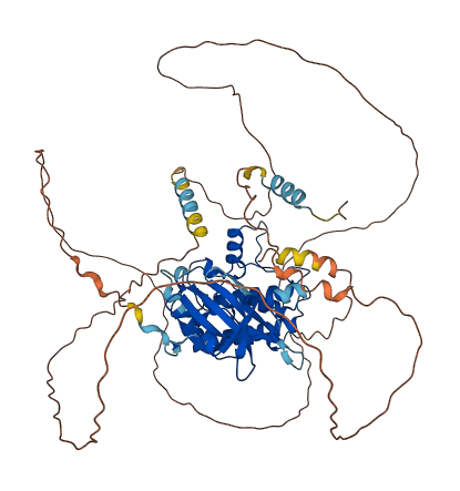 DCLK3 3D structure
