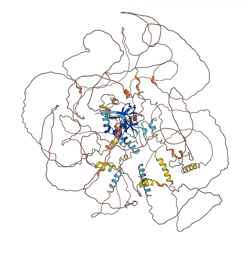 SETD5 3D structure