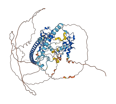 UNK 3D structure