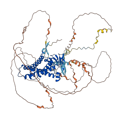ZDHHC5 3D structure