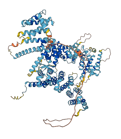 TANGO6 3D structure