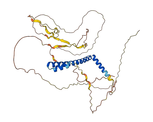 CIPC 3D structure