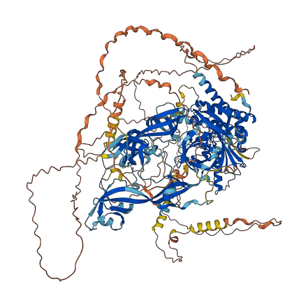 UBE2O 3D structure