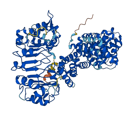 ZYG11B 3D structure