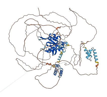 ZC3H12C 3D structure