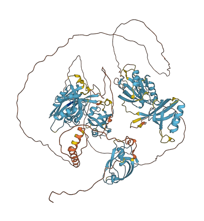 GRIP2 3D structure