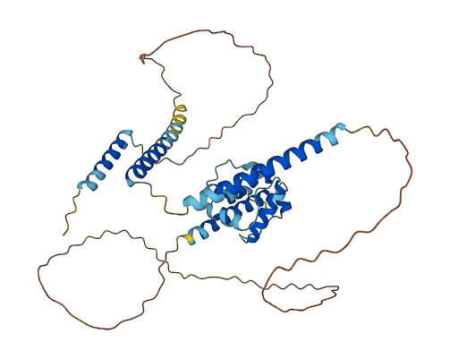 CEP44 3D structure