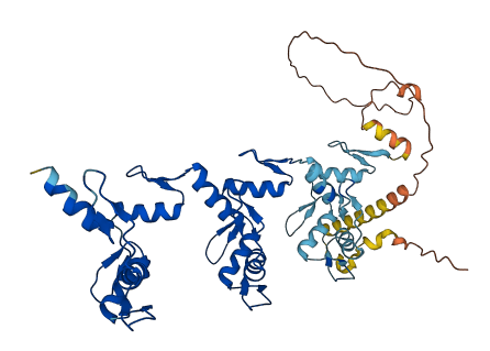 ZNF436 3D structure