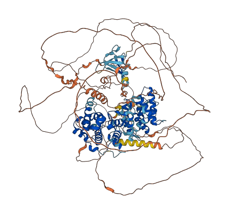 ARHGAP39 3D structure