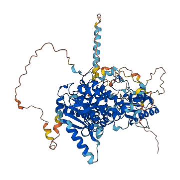 MTMR12 3D structure