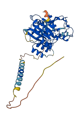 B3GNT4 3D structure