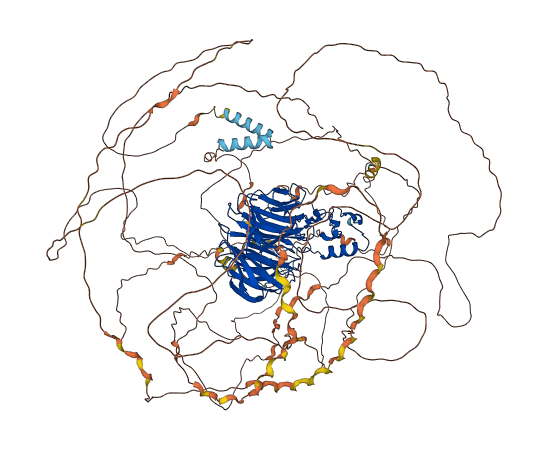 WDR33 3D structure